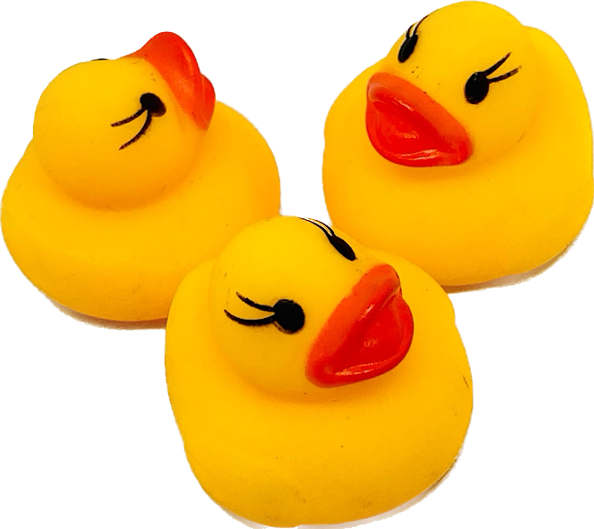 アヒルさん家族　詰め合わせ　小