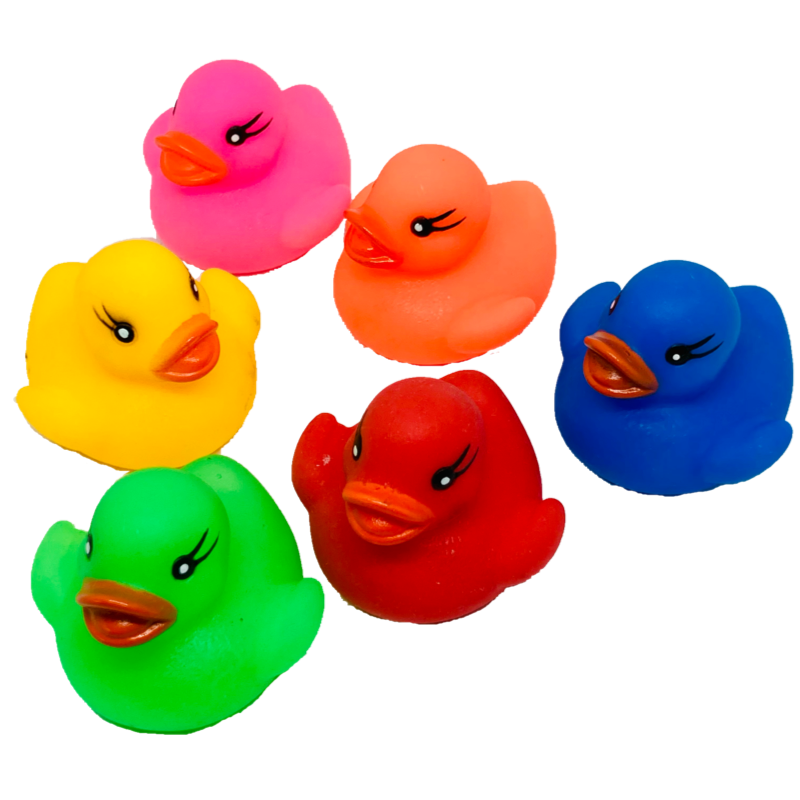 アヒルさん家族（中）